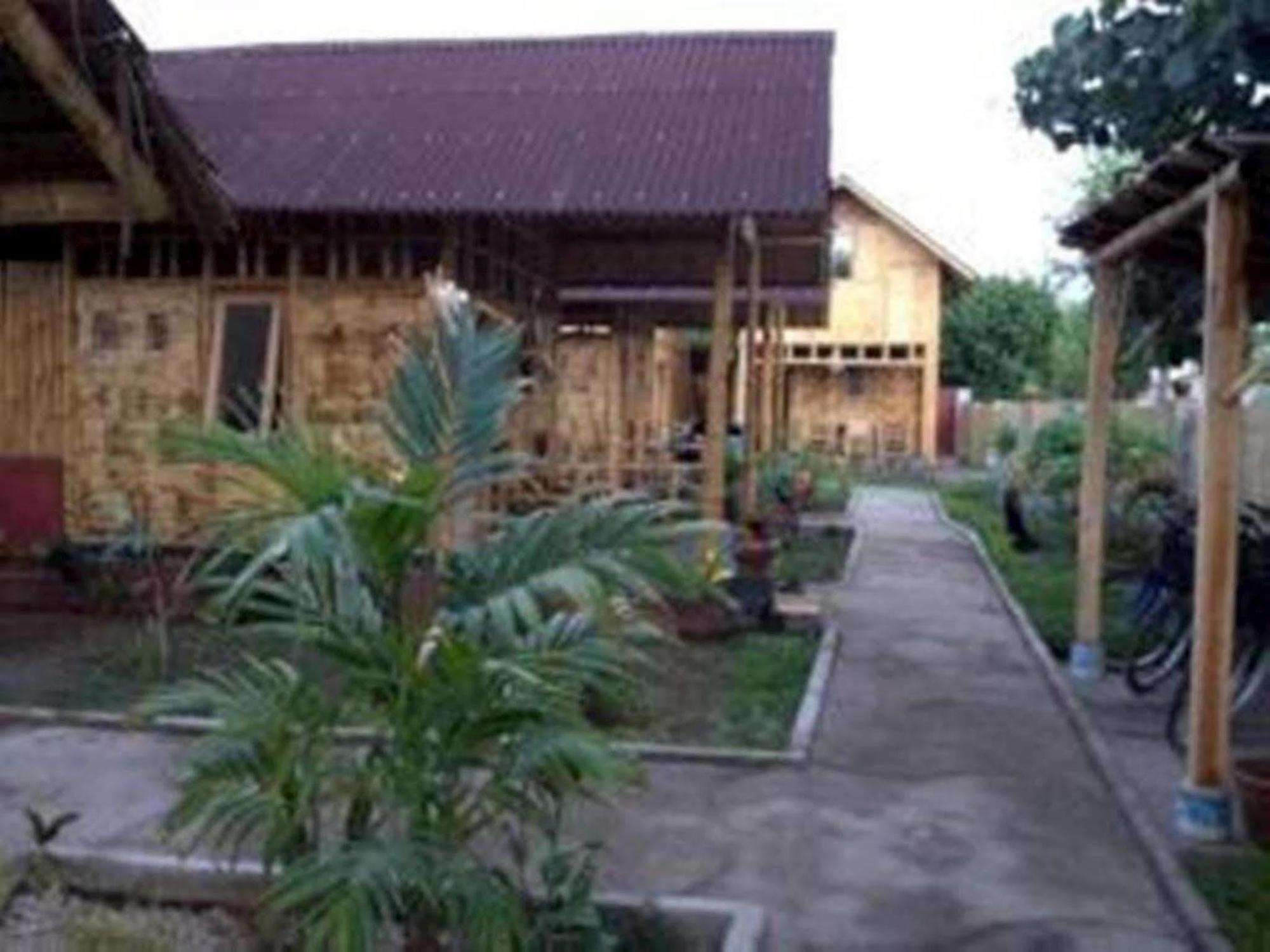 Little Woodstock Homestay Gili Trawangan Eksteriør billede